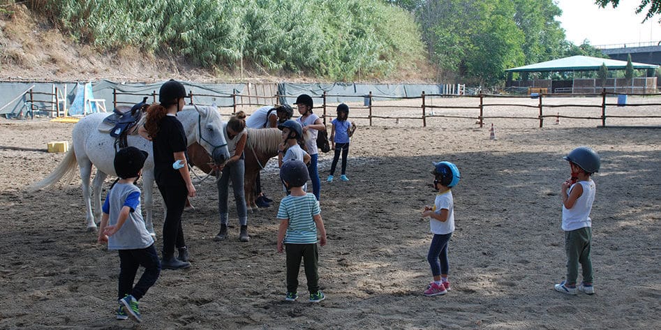 Centri estivi bambini roma equitazione